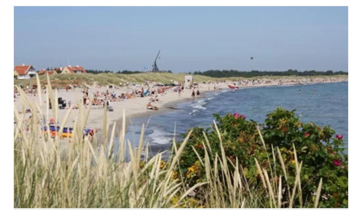 Skon Villalejlighed I Skagen Med Terrasse Og Taet Pa Centrum Extérieur photo